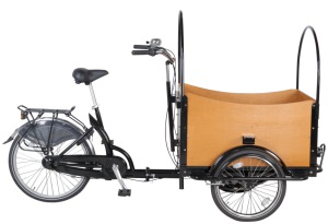 36V 250W Electric Tricycle Cargo Bike